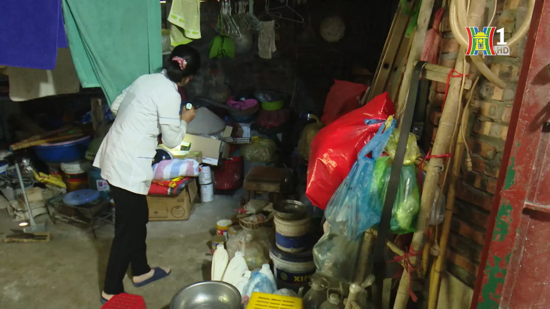 Cẩn trọng khi sốt xuất huyết vào cao điểm | Sức khỏe cộng đồng  | 21/11/2025